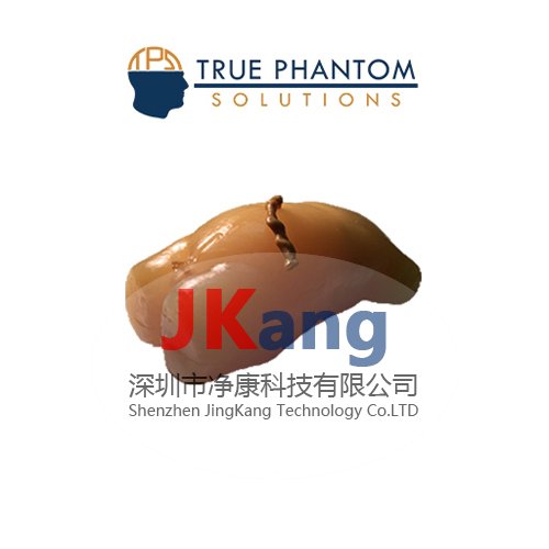 Truephantom US-NO1新生儿躯干超声训练模体,US-NO1新生儿躯干超声模体