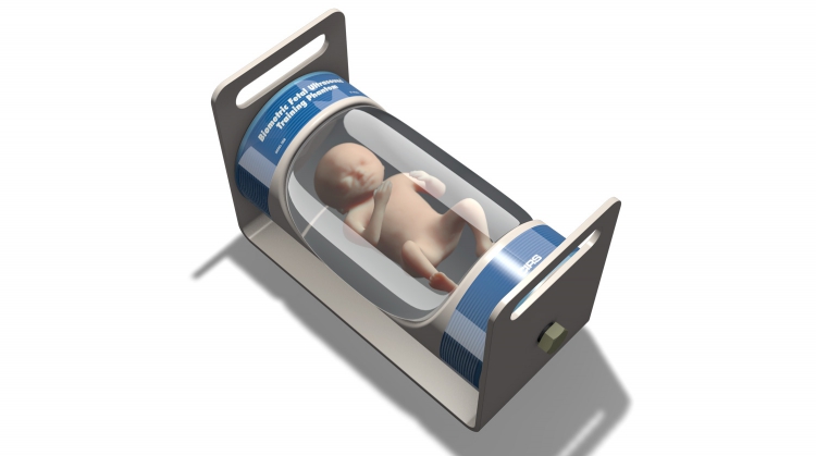 CIRS068胎儿超声模体,068胎儿超声生物测量体模