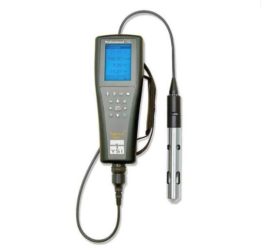 美国YSI Pro Plus多参数水质分析仪,Pro Plus测量仪